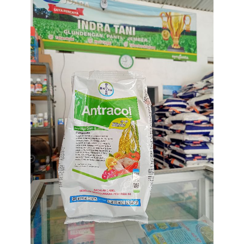 FUNGISIDA ANTRACOL-250GRAM