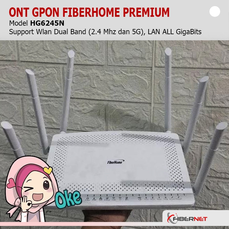 Modem/Router ONT GPON FiberHome HG6245N Premium