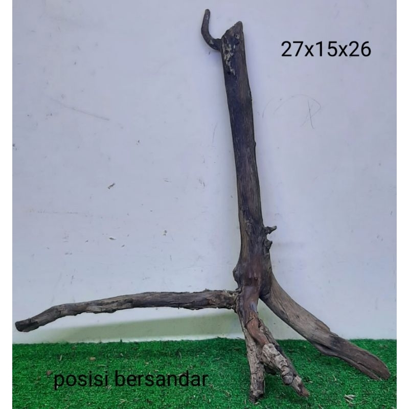 Bonggol Kayu Santigi Laut Kecil - Kayu Tenggelam - Aquascape - Aquarium - Taman - 27x15x26 T