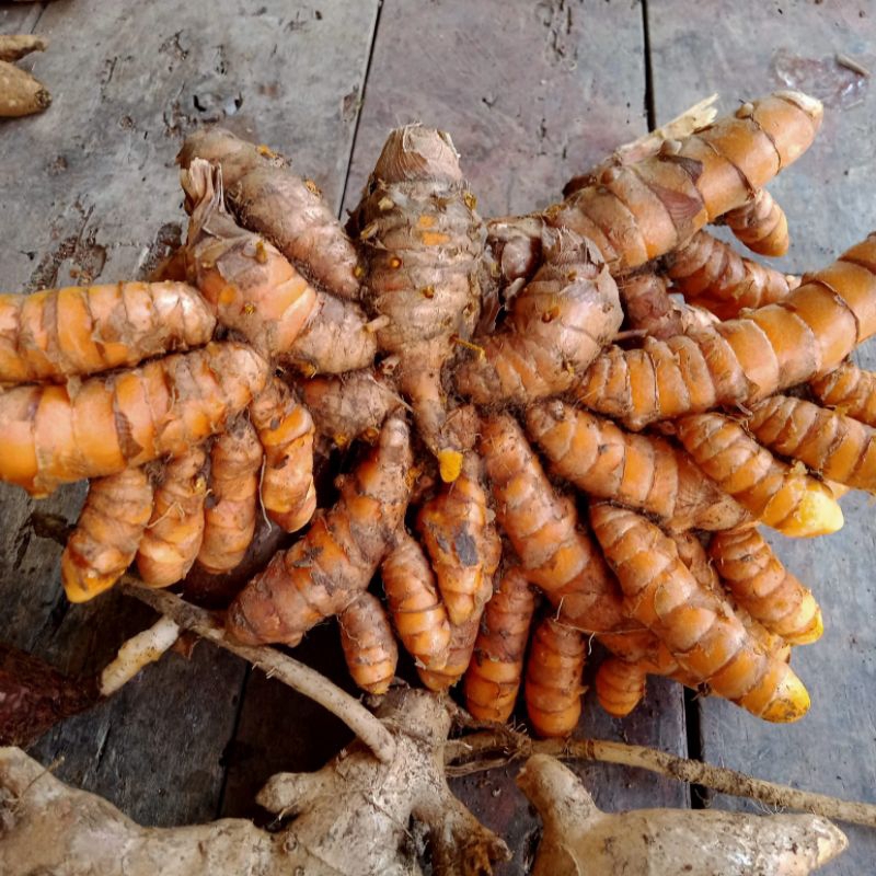 

Barang Super Kunyit Sayur Bersih Tampa Kotoran 1 Kg