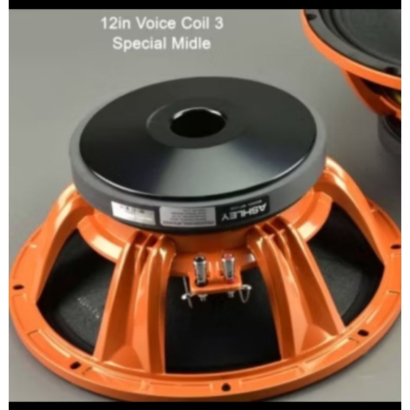 Speaker ASHLEY 12 Inch  Professional Speaker MODEL: MF1230