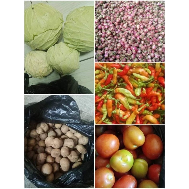 

paket rempah dapur sayuran fresh segar