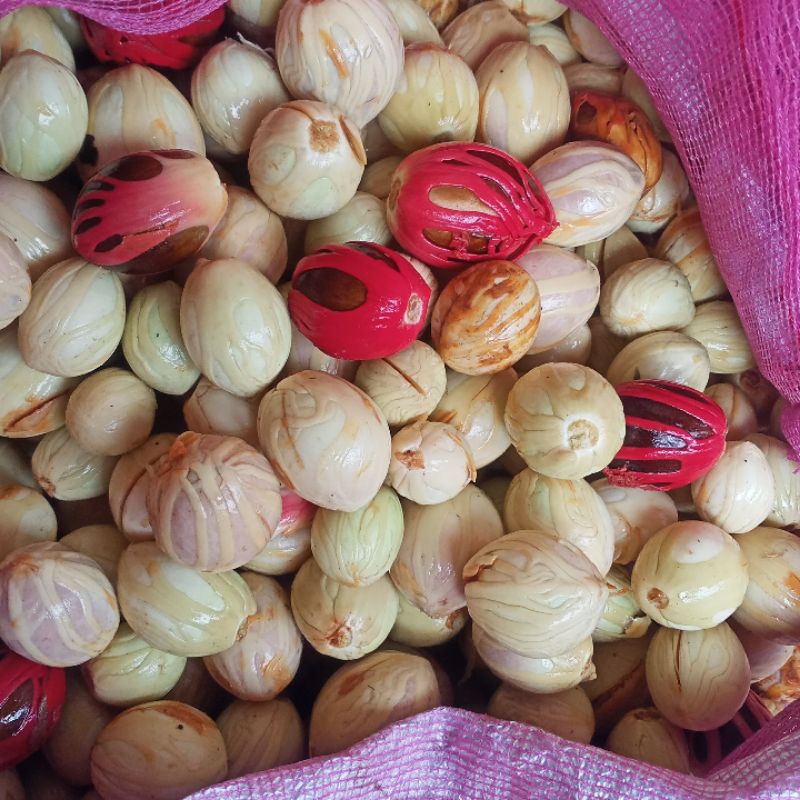 

Biji buah pala mix /kg