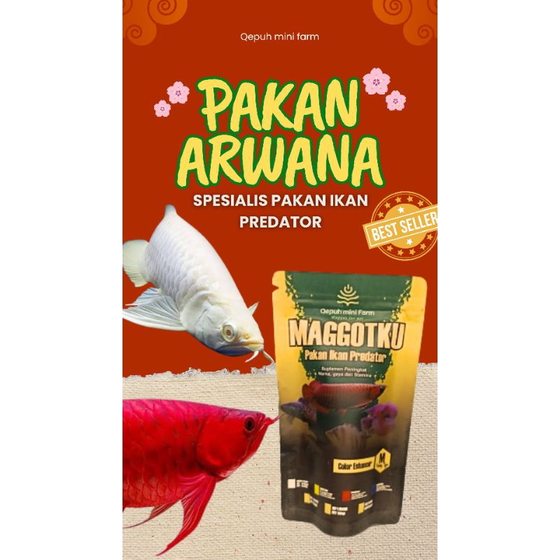 PELET PAKAN ARWANA SUPER RED SILVER RED JARDINI GOLDEN MAGGOT KERING PAKAN ARWANA PREDATOR MURAH PEL
