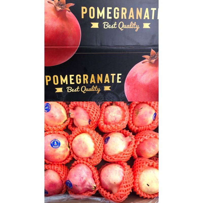 

Delima pomegranate best quality/ biji