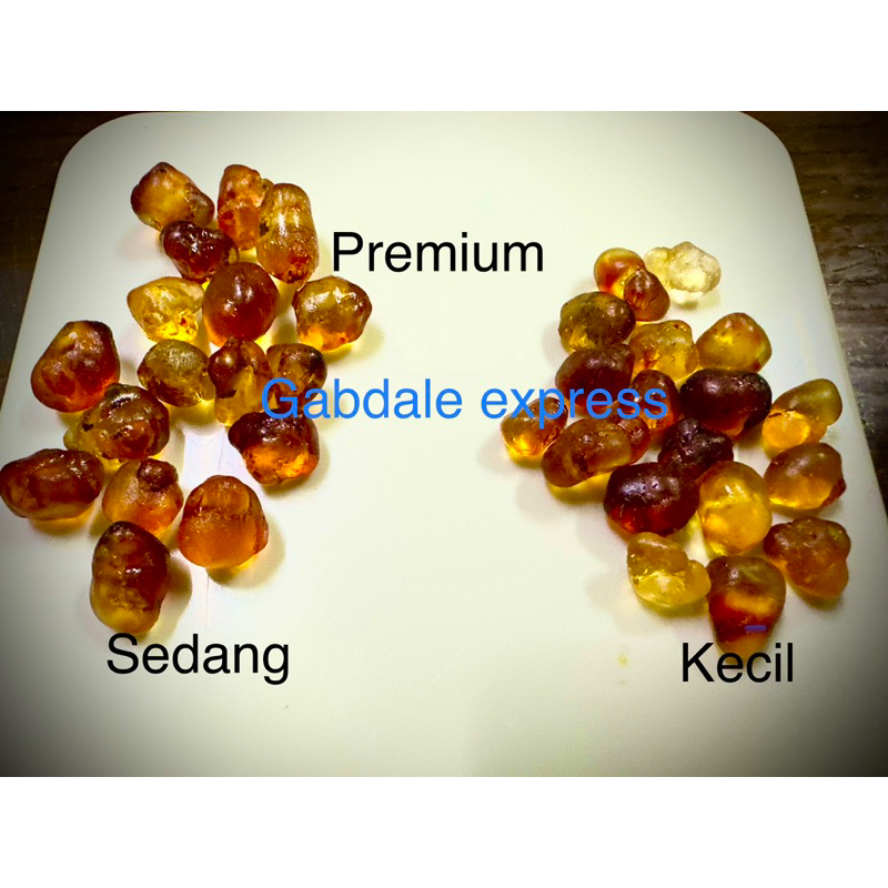 

Terlaris! Peach gum/ taojiao packing gr