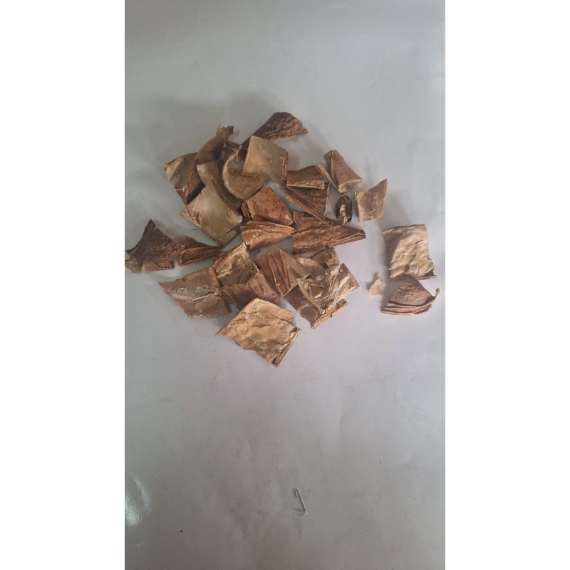 

300 G GR GRAM 刀豆壳 DAO DOU KE 刁豆壳 DIAO DOU KE CANAVALIA GLADIATA