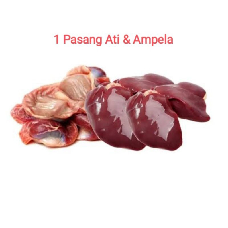 

Ati & Ampela Ayam Fresh (1pasang) Bandung Only