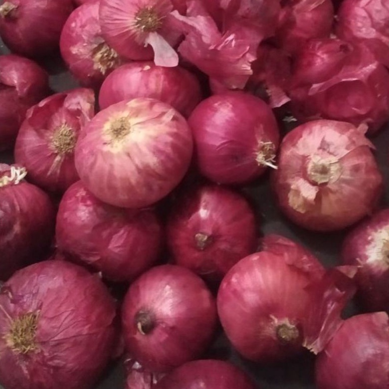 

Buruan Belanja Bawang merah india 1 kg READY STOCKK LANGSUNG KIRIM