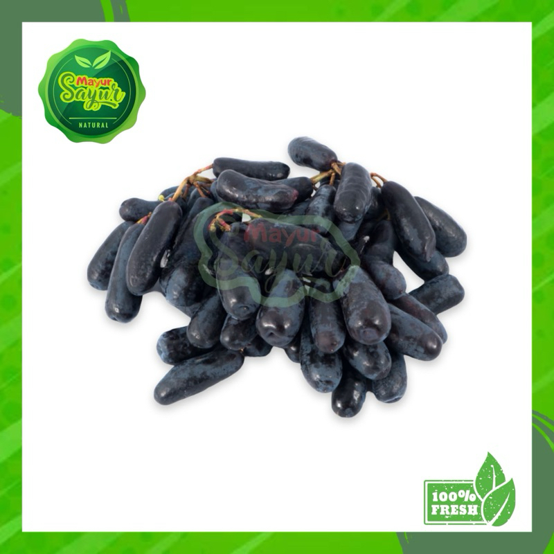 

Anggur Sweet Sapphire / Anggur Autumn / Perpackc