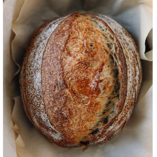 

Roti Sourdough / Sourdough bread / artisan bakery sourdough cranberry cheese