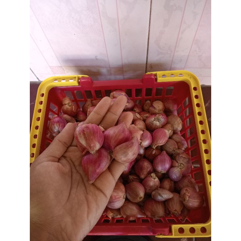 

bawangmerahkeringukuransedang500gram(1/2kg)
