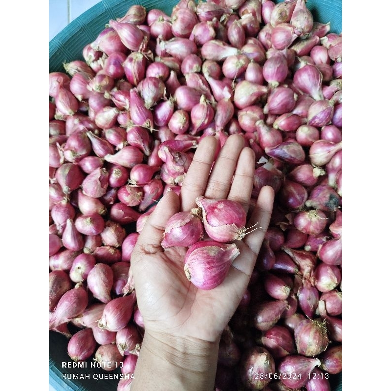 

Bawang Merah Brebes Grade A