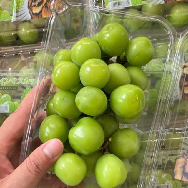 

Anggur shine muscat seedless