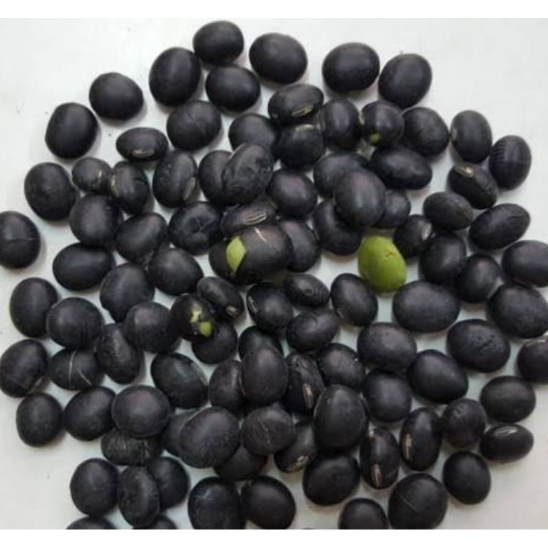 

KACANG KEDELAI HITAM PREMIUM 1KG