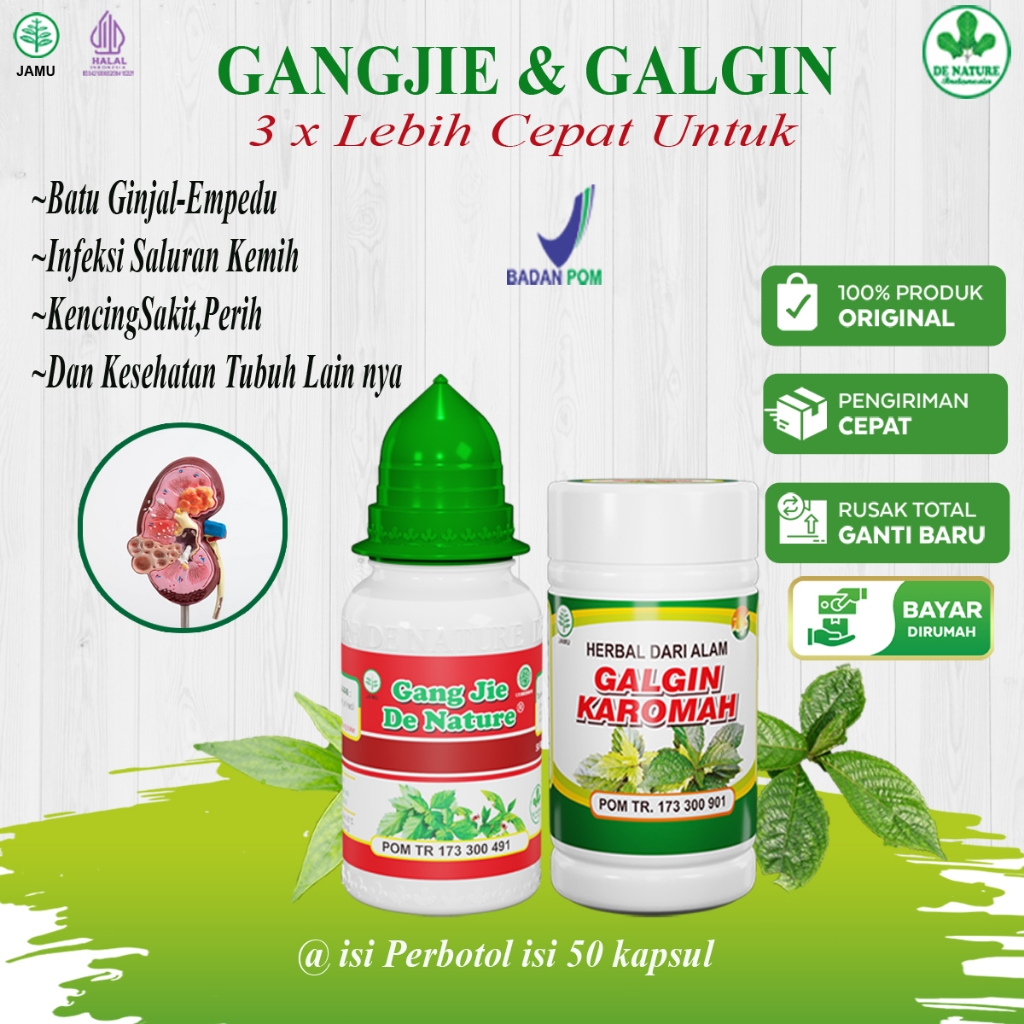 OBAT BATU GINJAL, OBAT KENCING BATU OBAT HERBAL BATU GINJAL, OBAT BATU EMPEDU, PENGHANCUR BATU GINJA