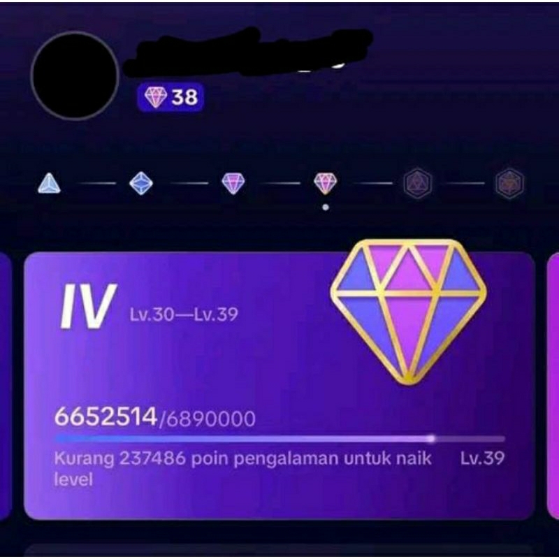 akun tiktok terbang level 38 39  level tinggi