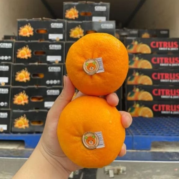 

Jeruk Wokam Mandarin Manis 1kg