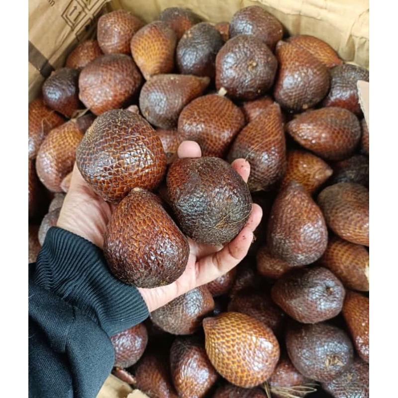 

Salak pondoh jumbo asli sleman yogya