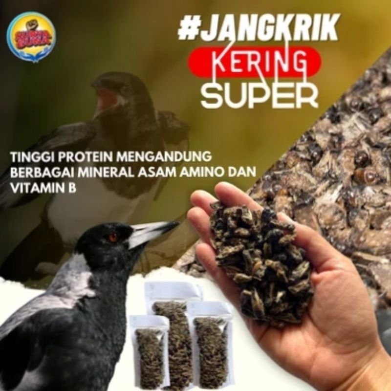 Jangkrik kering 100gram