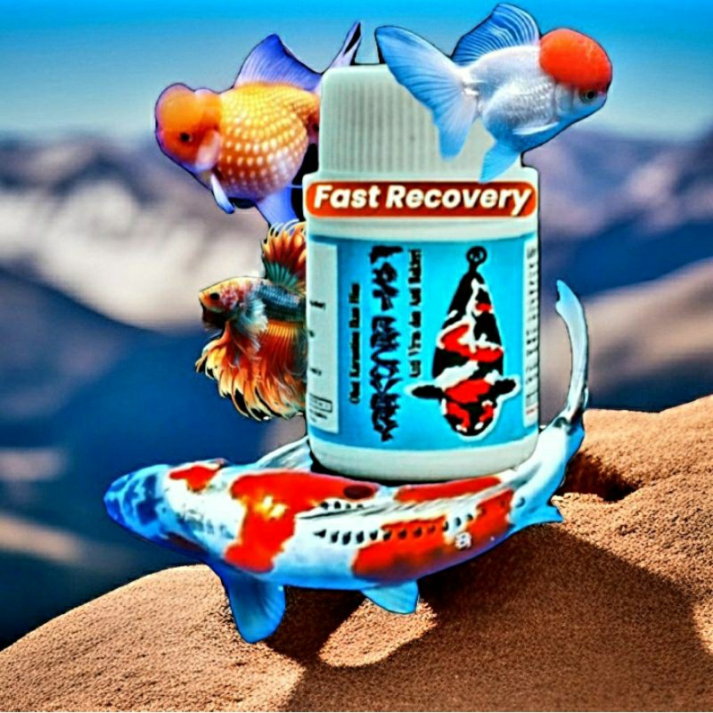 OBAT IKAN HIAS CUPANG/KOI/KOKI/TAMASABA/FAST RECOVERY 50ML/ANTI VIRUS & ANTI BAKTERI DROPSY