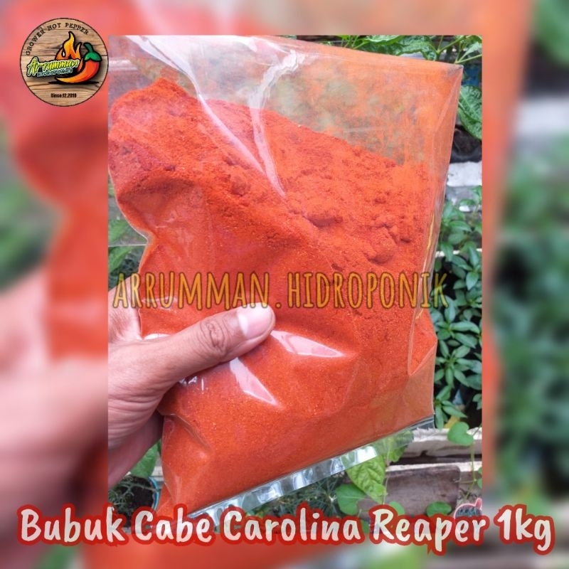 

BUBUK Cabe Carolina Reaper Murni Tanpa Campuran isi 1 KG