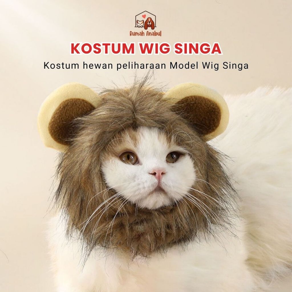 Kostum Kucing Anjing Model Wig Rambut Singa Topi Cat Lion Hair Pakaian Baju Kucing - Kostum Wig Sing