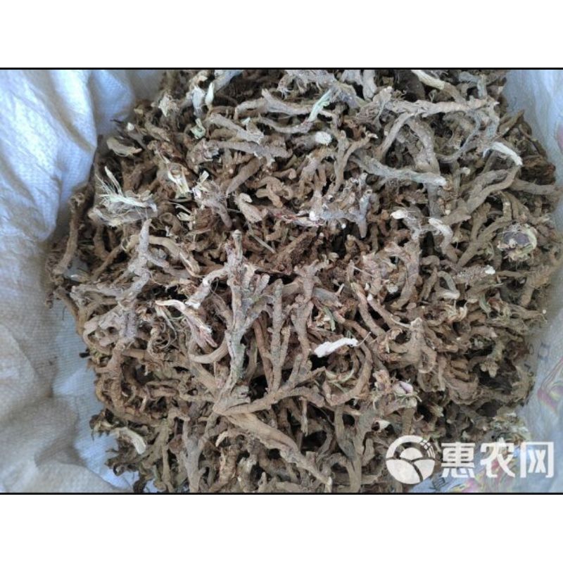 

600 G GR GRAM 石菖蒲条 SHI CHANG PU TIAO ACORUS GRASSLEAF SWEETFLAG RHIZOME
