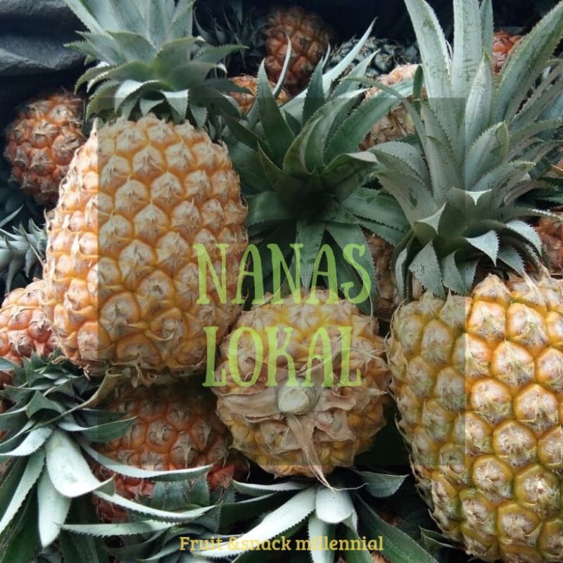 

Nanas Lokal Fresh 1pcs