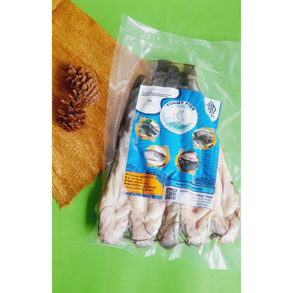 

IKAN LELE BERKUALITAS ORGANIK - Original, 400 - 500 gr