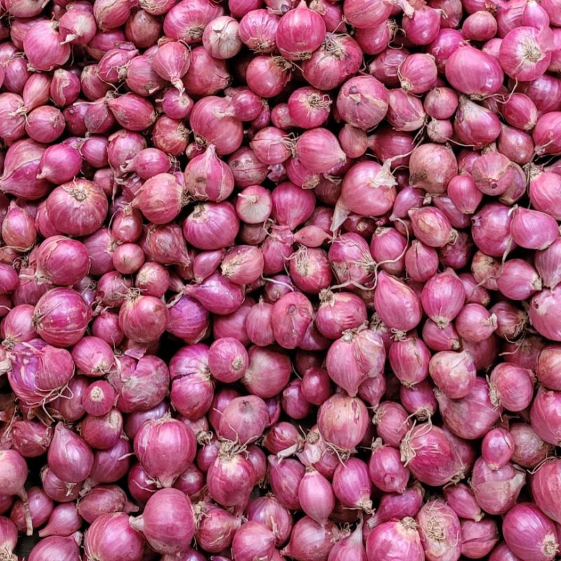

Bawang Merah Segar 500 gr, 1 kg