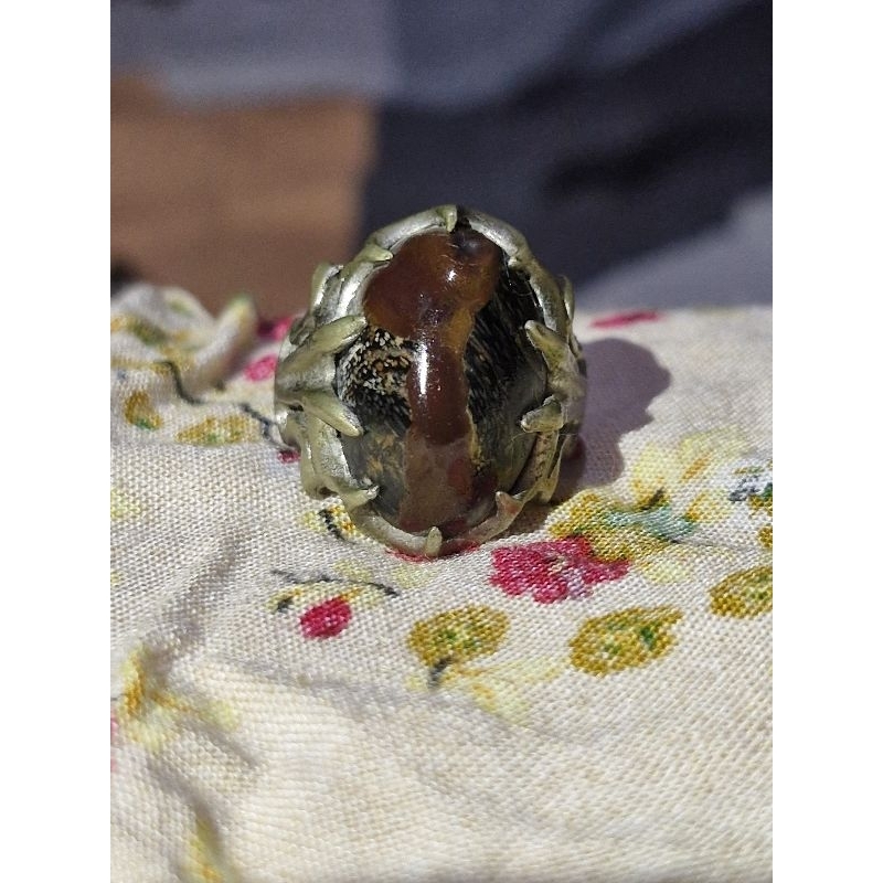 Batu Akik Kokai F*sil Kayu Asli Batu Alam by Bertuah Gemstone