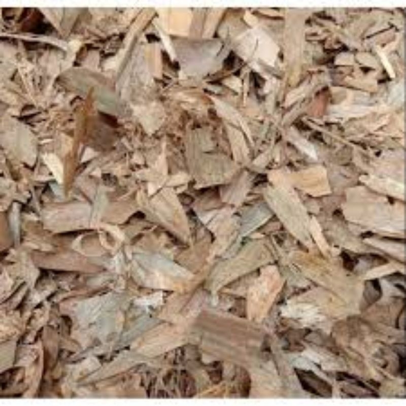 Daun bambu kering