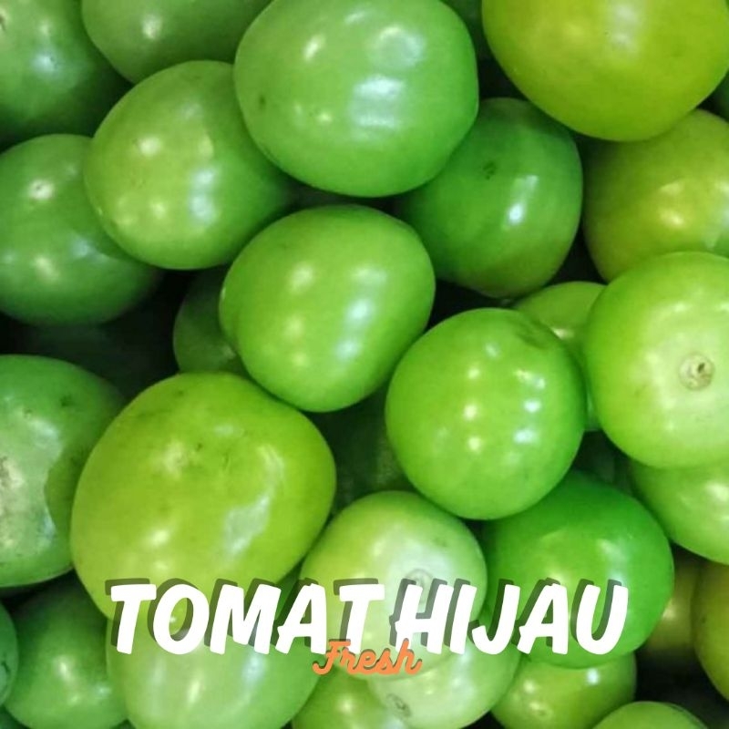 

Tomat Hijau Segar 500gr