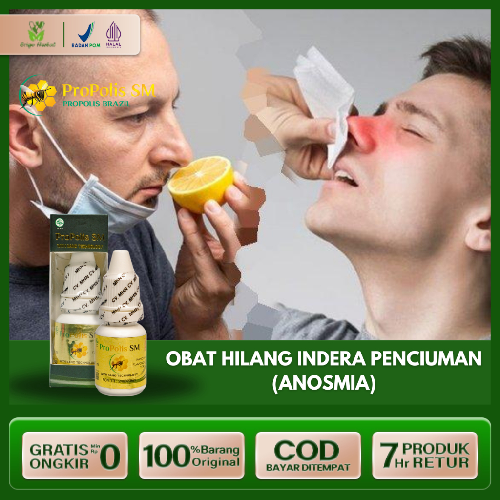 Obat Anosmia Hilang Penciuman Gangguan Indra Penciuman Hidung Tersumba Mengembalikan Indra Penciuman