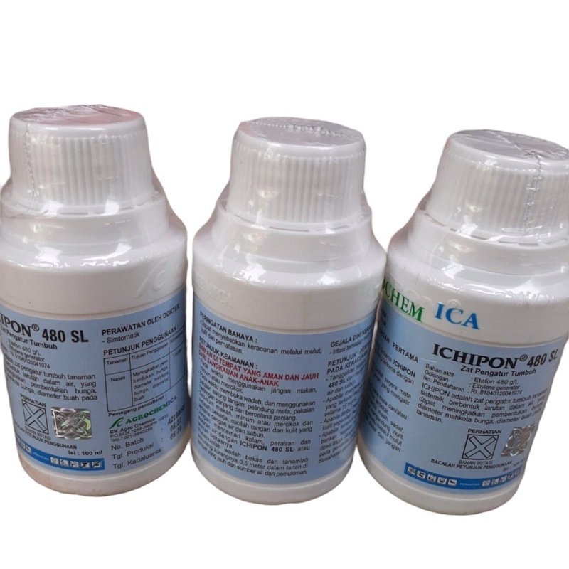 Ichipon 480SL 100ml ZPT Etafon 480 g/l Zat Pengatur Tumbuh & Pematang Buah Agrochemica Orbyte Ethrel