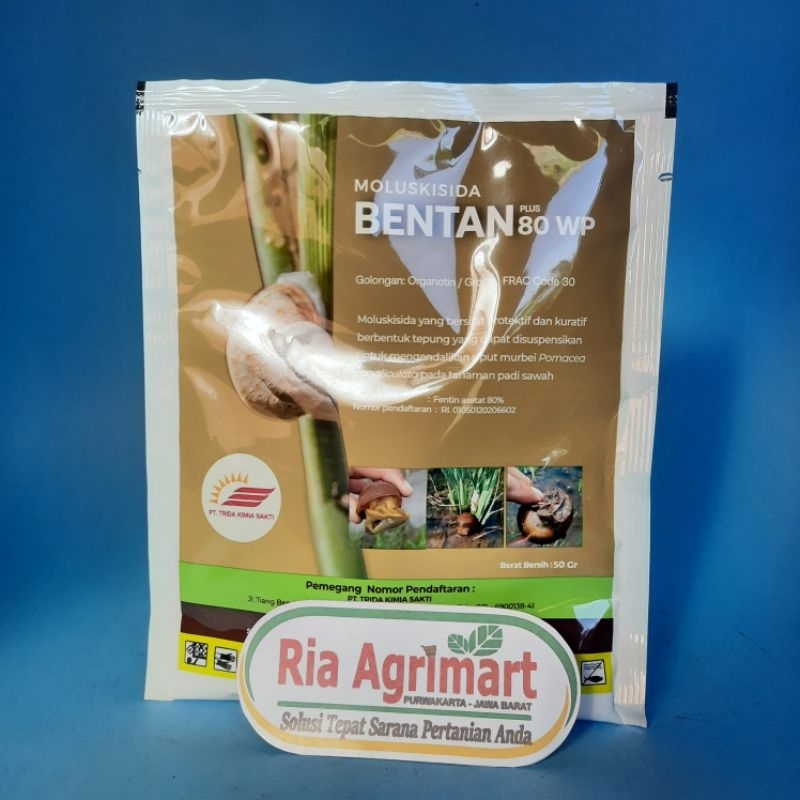 Bentan 80WP Coklat 50gr Moluskisida Fentin Asesat Racun Keong Sawah