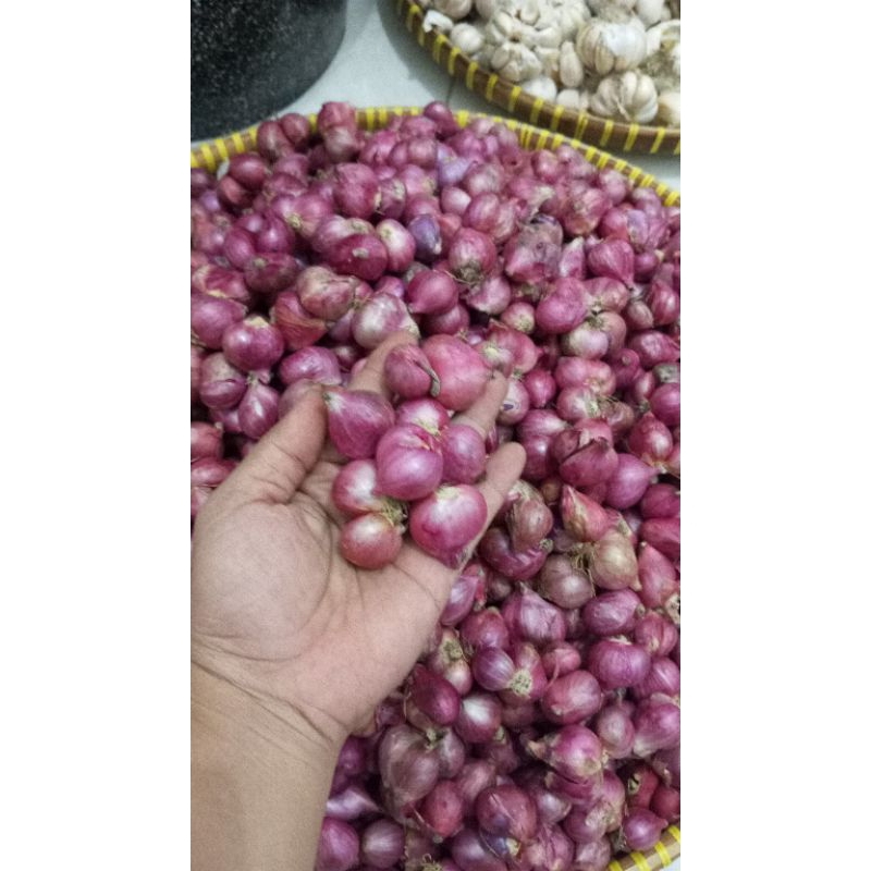 

BawaNg Merah Super Murah 1Kg