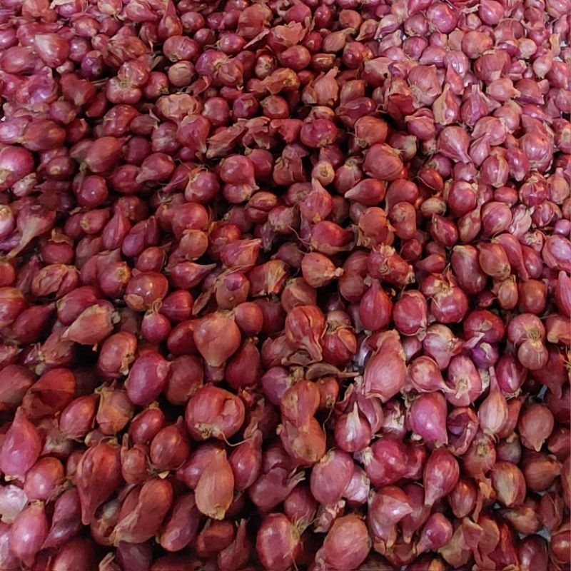 

Bawang Merah 2 kg Gratis Bumbu Sedap