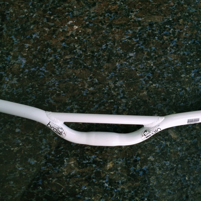 Brain Stang Fixie Trick