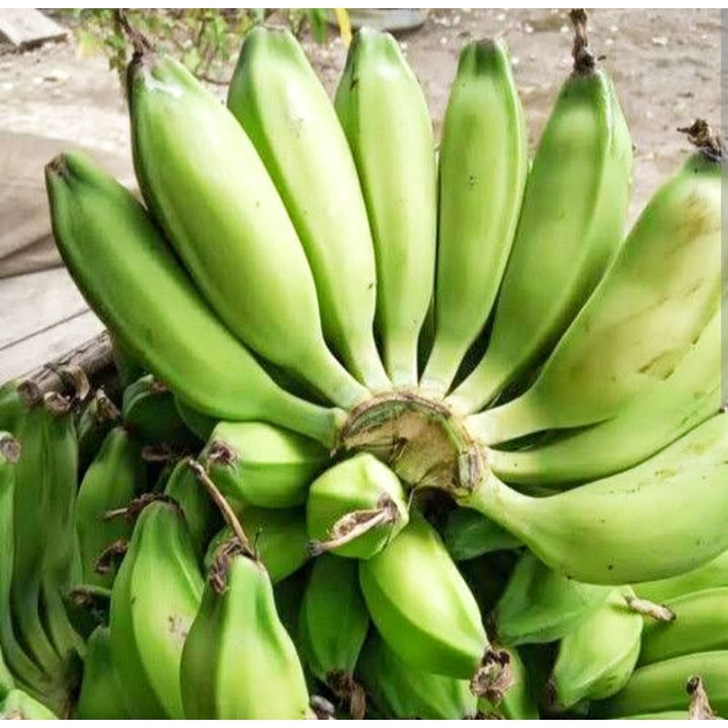 

Pisang Batu / Pisang Siki / biji fress