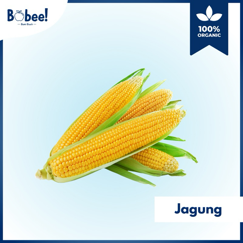 

Jagung Super 1 Pcs Fresh & Premium | Bobee.official - (Instant/Sameday)