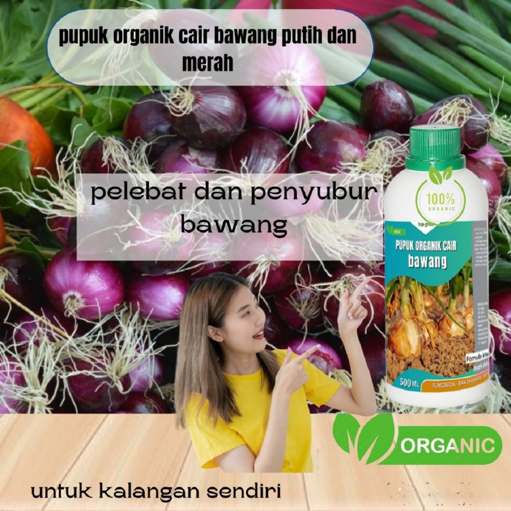 Pupuk Pembesar Umbi Bawang Merah Pupuk Booster Untuk Bawang Merah Pupuk Penyubur Bawang Merah