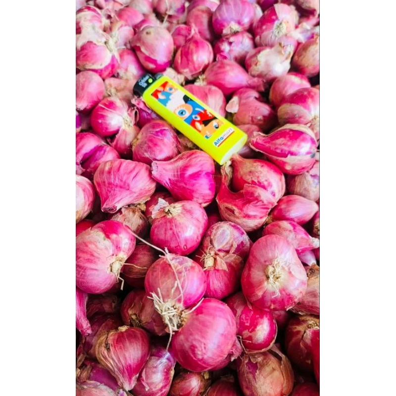 

Bawang merah bagus 1 kg |bawang merah termurah/pusat bawang