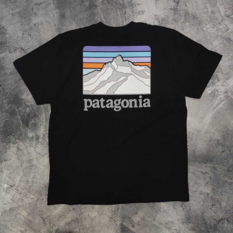 Kaos T-shirt Patagonia big logo second bekas