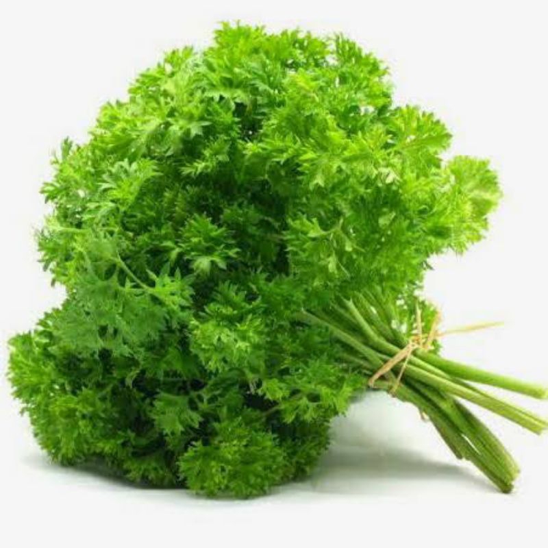 

daun parsley