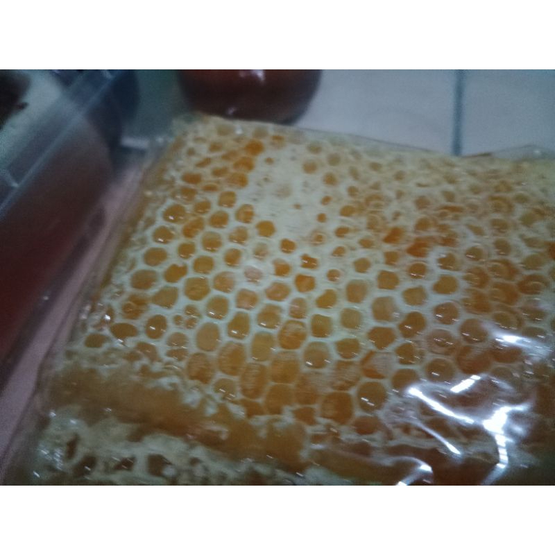 

sarang madu asli dijamin lumer madunya dan segar