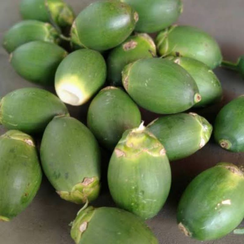 

Pinang Muda Obat Kuat Herbal 1Kg
