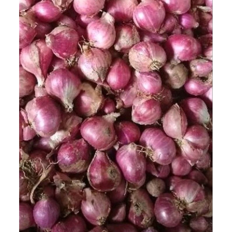 

bawang merah berebes