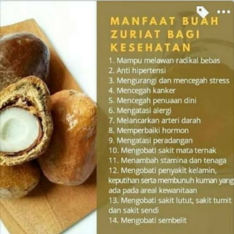 

Buah Zuriat